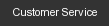 Customer Service